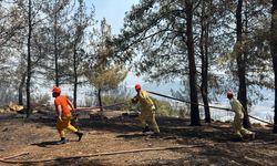 Antalya'da çıkan orman yangınına müdahale ediliyor