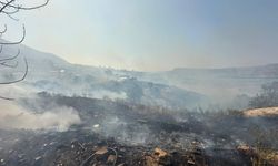 Antalya'da ormanlık alanlarda çıkan yangınlara müdahale ediliyor