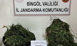 Bingöl'de 17 kilo 936 gram esrar ele geçirildi