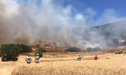 Bursa'nın Yenişehir ilçesinde çıkan orman yangınına müdahale ediliyor
