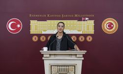 EMEP'li Demir, Milli Eğitim Bakanlığı Proje Okulları Yönetmeliği'ni eleştirdi