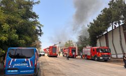 Gaziantep'te halı fabrikasında çıkan yangına müdahale ediliyor