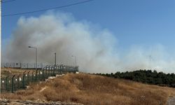 İzmir'in Urla ilçesinde çıkan orman yangınına müdahale ediliyor