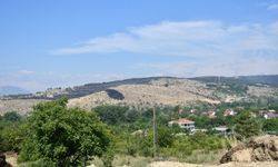 Kuzey Makedonya-Kosova sınırı yakınlarındaki yangın söndürme çalışmaları sürüyor