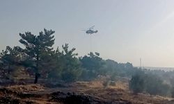 Mersin'in Silifke ilçesinde çıkan orman yangınına müdahale ediliyor