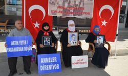 Muşlu aileler DEM Parti önündeki eylemlerini sürdürdü