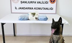 Şanlıurfa'da uyuşturucu operasyonunda 3 şüpheli yakalandı