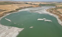 Tekirdağ'daki Türkmenli Göleti'nin su seviyesi yüzde 5'in altına düştü