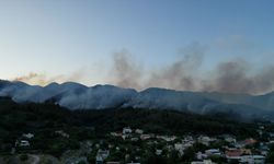 Hatay Dörtyol'da dün çıkan orman yangınına müdahale sürüyor