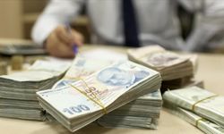 Türkiye'nin yerel gücü, kalkınma ajanslarının destekleriyle harekete geçiriliyor