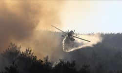 Bursa'nın Orhaneli ve Harmancık ilçeleri arasındaki orman yangınına müdahale 3. gününde sürüyor
