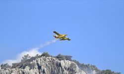 Antalya'nın Gazipaşa ve Alanya ilçelerindeki orman yangınlarına müdahale sürüyor