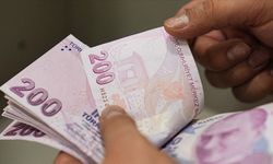 Temmuz ayı Sosyal ve Ekonomik Destek ödemeleri hesaplara yatırıldı