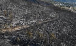 Hatay'daki orman yangınında zarar gören alanlar dronla görüntülendi
