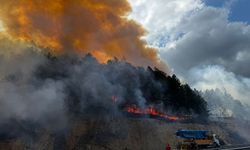 Bolu'da ormanlık alanda çıkan yangına müdahale ediliyor