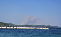 Çanakkale Gelibolu'da çıkan yangına müdahale ediliyor