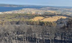Çanakkale'de büyük oranda kontrol altına alınan yangına müdahale 2. gününde sürüyor