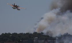Çanakkale'de çıkan orman yangınına müdahale ediliyor