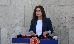 DEM Parti Grup Başkanvekili Koçyiğit, gündemi değerlendirdi