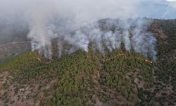 Hatay'da dün çıkan orman yangınına müdahale ediliyor