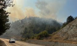 Karabük'te çıkan orman yangınına müdahale ediliyor