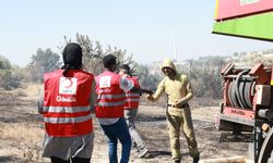 Türk Kızılay, hazirandan bu yana 127 orman yangınına müdahaleye destek sağladı