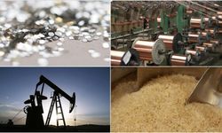 Emtia piyasası temmuzda yönünü aşağı kırdı
