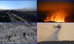 ABD'nin California eyaletindeki yangınlarda 330 kilometrekareden fazla alan kül oldu