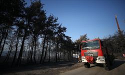 Çanakkale'deki orman yangınlarına müdahale 2. gününde sürüyor