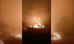 Muğla'da çıkan orman yangınına müdahale ediliyor