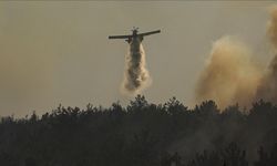 Muğla'da çıkan orman yangınına müdahale ediliyor