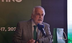 Türkiye küresel enerji dönüşümünde enterkonneksiyonlarla kritik rol oynayacak
