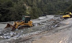 AFAD'dan Doğu Karadeniz'deki yağışların ardından yapılan çalışmalara ilişkin açıklama: