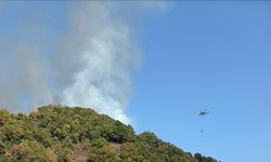 Düzce ve Bursa'da çıkan orman yangınlarına müdahale ediliyor