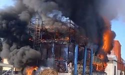 İzmir'de salça fabrikasında çıkan yangın söndürüldü