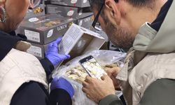 Van'da faaliyet gösteren işletmede 2 ton bozuk gıda ele geçirildi