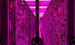 İGSAŞ ve Yeditepe Üniversitesi'nden dikey tarım alanında işbirliği