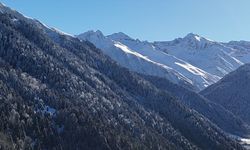 Rize ve Artvin'in yüksek kesimlerinde kar etkili oldu