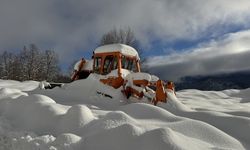 Türkiye'nin biyosfer rezervi alanı Camili Havzası beyaz örtü ile kaplandı