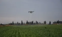 Mersin’de tarımda dron dönemi başladı, üretimde tasarruf artıyor