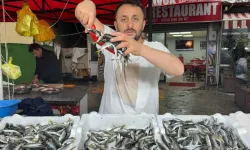 Tezgahta hareketlilik sürüyor: Fiyatlar düşmeyecek, en çok tercih edilen türler belli oldu