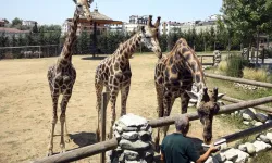 Darıca Hayvanat Bahçesi kapatıldı