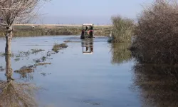 Son 65 yılın en kurak yılının ardından bu kez aşırı yağış