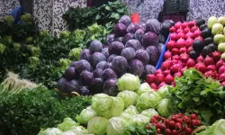 Kış pazarlarının yıldızları