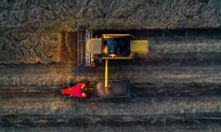 İklim koşulları buğday üretimi için umut veriyor