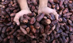 Ramazan’a Doğru Hurma Tezgâhlarda Yerini Aldı