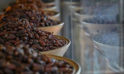 Ramazan’a Sayılı Günler Kala Hurma Tezgâhlarda Alıcı Bekliyor