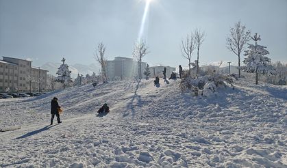 Muş'ta göletler dondu, çatılarda buz sarkıtları oluştu