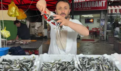 Tezgahta hareketlilik sürüyor: Fiyatlar düşmeyecek, en çok tercih edilen türler belli oldu