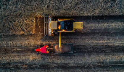 İklim koşulları buğday üretimi için umut veriyor